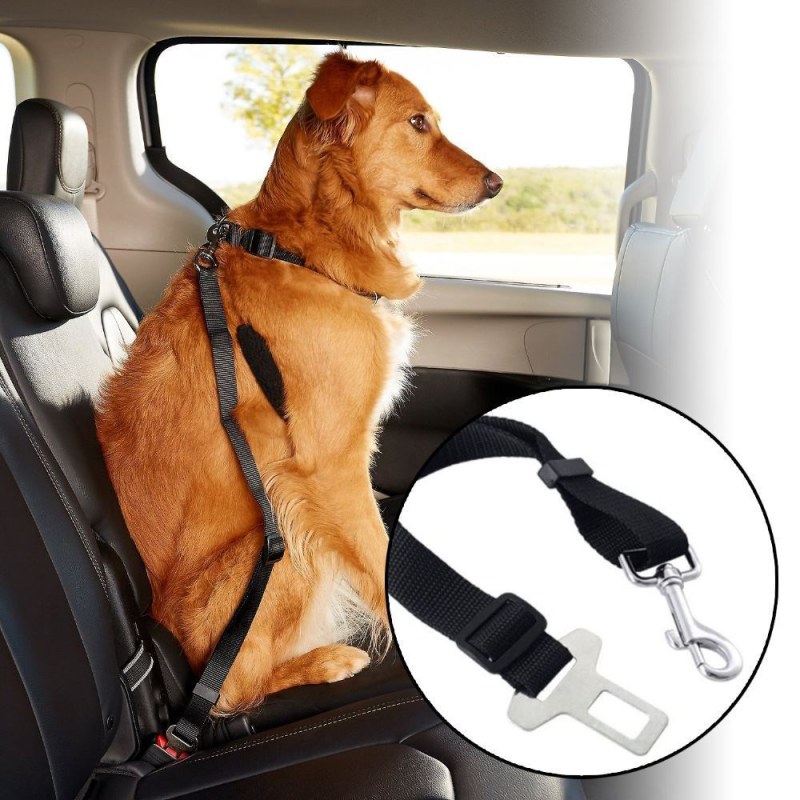 Bezpečnostní pás pro psa - Dárky