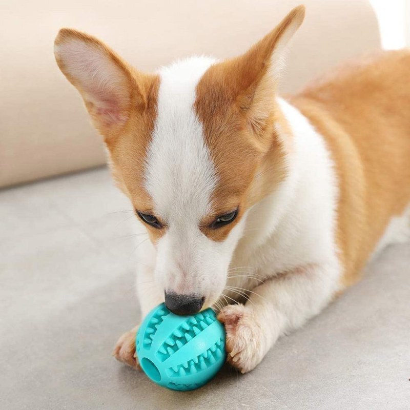Žvýkací míček pro psy na čištění zubů - Dárky