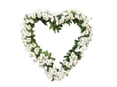 Srdce buxus s bílými květy 11x11cm