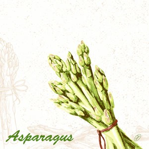 Ubrousek 40x40 Dsoft Green Asparagus 60k - Restaurace a rauty Ubrousky, kapsy na příbory