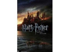 Plakát 61 X 91,5 Cm - Harry Potter 5398443