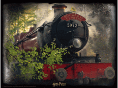 Puzzle 3d Obraz - Harry Potter