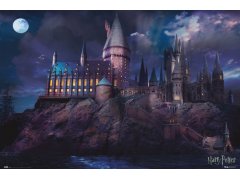 Plakát 61 X 91,5 Cm - Harry Potter 6587021