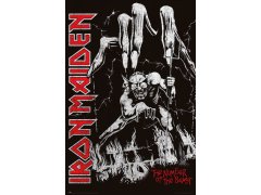 Plakát 61 X 91,5 Cm - Iron Maiden 6587125