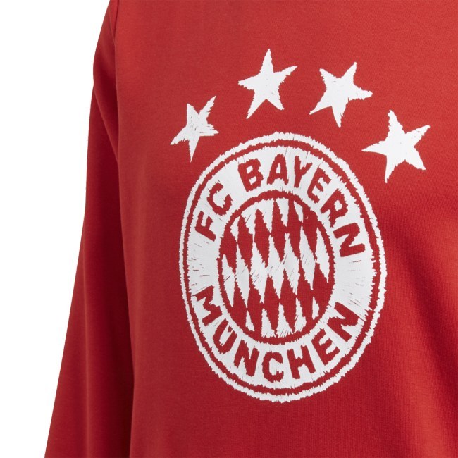 Adidas FC Bayern Mnichov DNA Graphic červená/bílá UK XXL