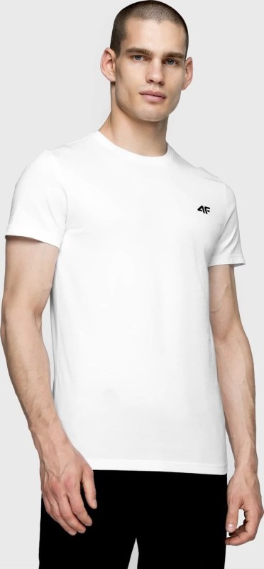 Pánské tričko 4F TSM003 bílé - Pánské oblečení trička