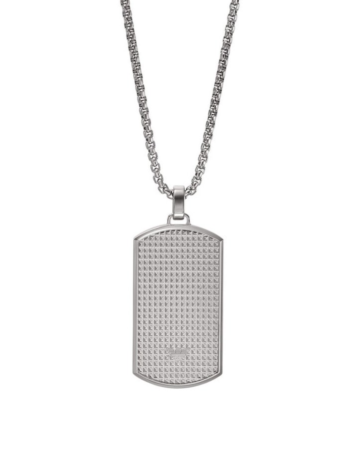 Emporio Armani Módní ocelový náhrdelník Psí známka EGS2986040 - Náhrdelníky