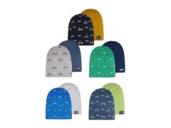 CAP 48-087 1