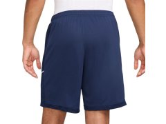 Šortky Nike Dri-Fit Academy 25 M FZ9776 410 1
