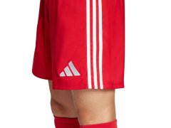 Šortky adidas Tastigo 25 M JN7157 4