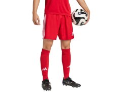 Šortky adidas Tastigo 25 M JN7157 7