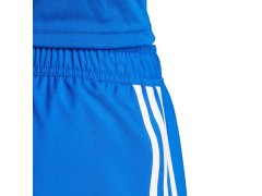 Šortky adidas Tastigo 25 M JN7159 8