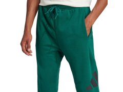 Kalhoty adidas Essentials Big Logo French Terry M JE8971 6