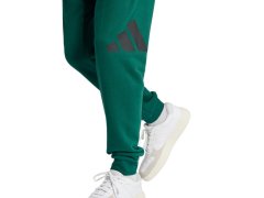 Kalhoty adidas Essentials Big Logo French Terry M JE8971 7