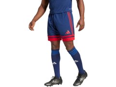 Šortky adidas Squadra 25 M JH3408 1