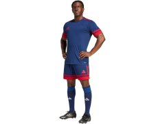 Šortky adidas Squadra 25 M JH3408 5