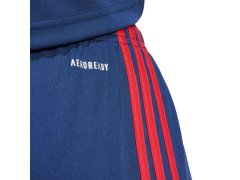 Šortky adidas Squadra 25 M JH3408 8