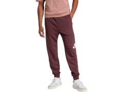 Kalhoty adidas Essentials Big Logo French Terry M JE8972 8