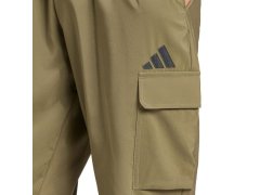 Kalhoty adidas Essentials Small Logo Cargo M JD1824 2