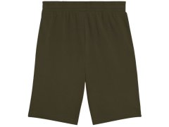 Puma Ess 2 Color No. 1 Logo M 684715 70 šortky 1