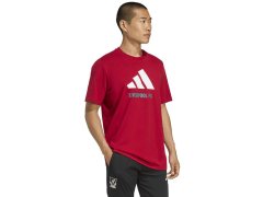 Adidas Liverpool FC Sezónní tričko DNA Graphic Tee 2 JY3466 2