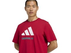 Adidas Liverpool FC Sezónní tričko DNA Graphic Tee 2 JY3466 3