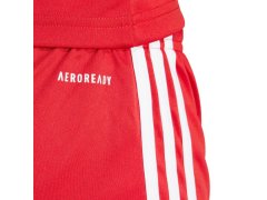 Dámské šortky adidas Squadra 25 červené JJ0011 dámské 5
