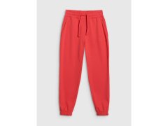 Dámské tepláky jogger 4F 4FWMM00TTROF1138-62S dámské 7