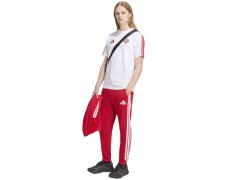 Adidas FC Bayern DNA Tee KG2592 tričko 2