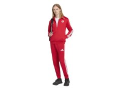 Mikina adidas FC Bayern DNA Track Top KG2569 2