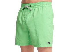 Šortky Billabong All Day Layback 16" EBYJV00134-GGJ0 zelené L 2