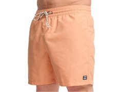Šortky Billabong All Day Layback 16" EBYJV00134-NHY0, oranžové, velikost L 2