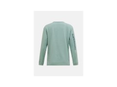 Dámské tričko PEAK PERFORMANCE W Trail Longsleeve, zelená barva 1