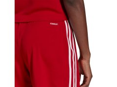 Squadra 21 Short Women W GN5783 - Adidas 6