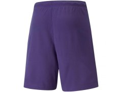 Puma teamRise Short Prist M 704942 10 1