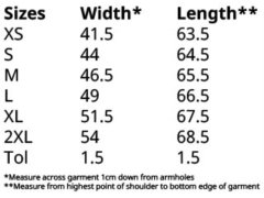 Fruit of the Loom Lady-Fit Iconic 150 T Dámské tričko 16.1432 zinc 3