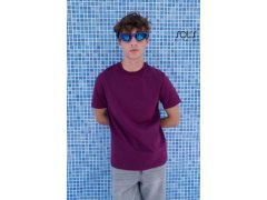 SOL´S Legend Unisex bio IC tričko 25.3981 frozen green 8