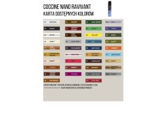 Coccine Suede and Nubuck Care Paste Nano Ravvivant