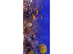 Plážová osuška 100x180