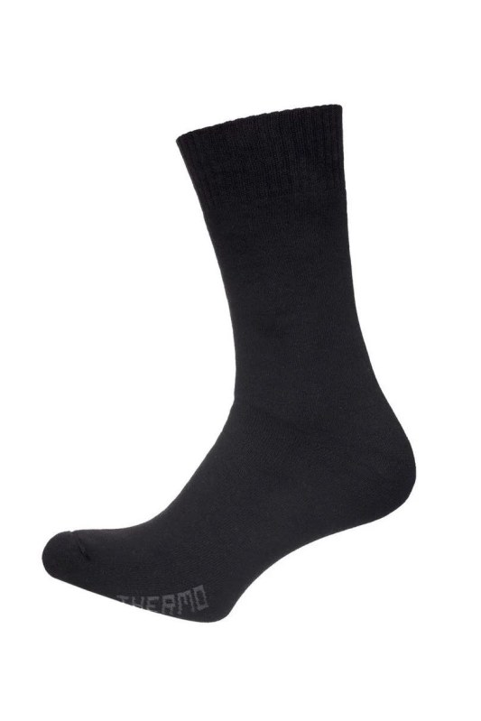 TERMO PONOŽKY - STŘÍBRNÉ HLADKÉ 0590 - Dámské oblečení doplňky ponožky