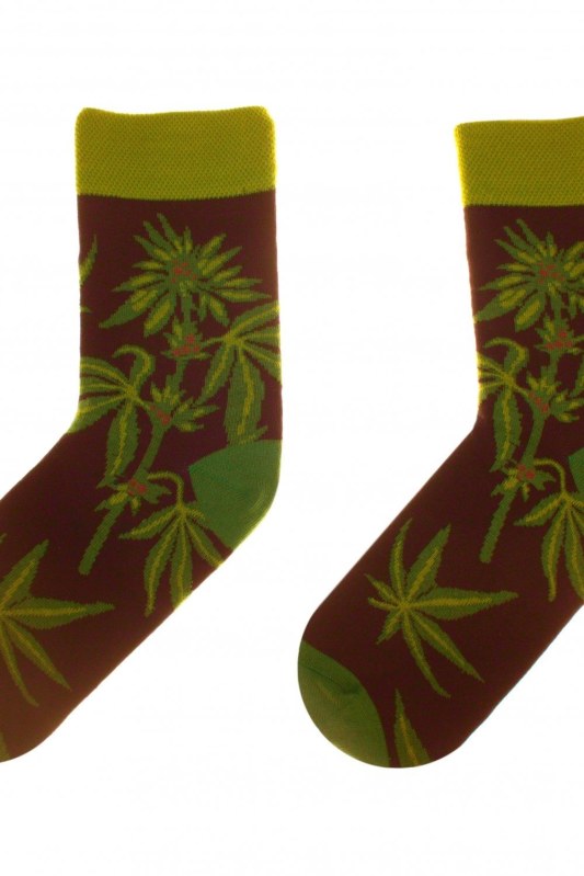 Obrázkové ponožky 80 Funny herbs - Skarpol - ponožky