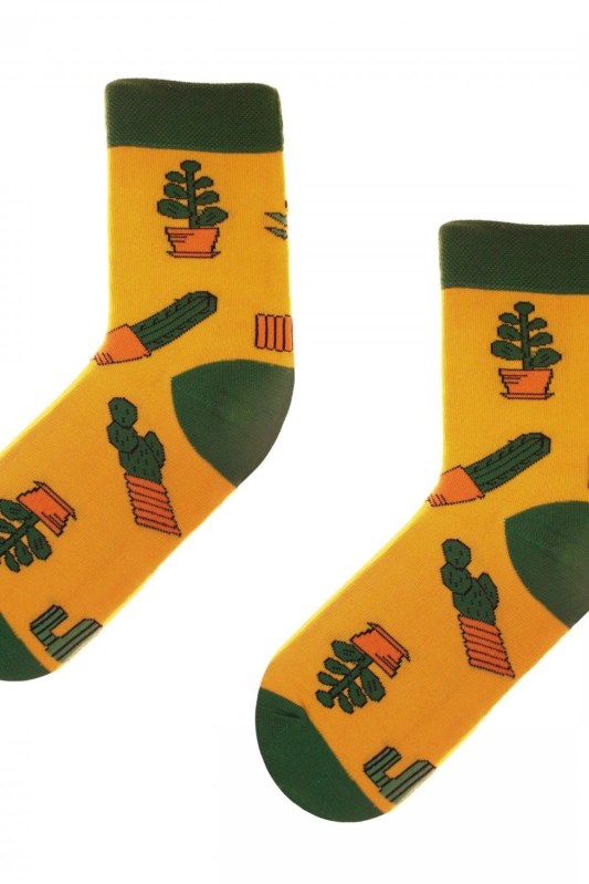 Obrázkové ponožky 80 Funny cactus - Skarpol - ponožky