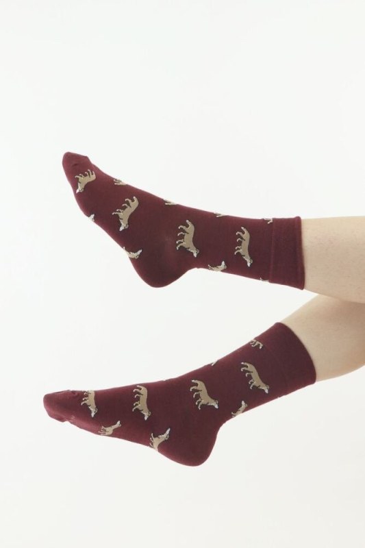 Veselé ponožky 17 vínové se psy - ponožky