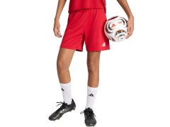 Dámské šortky adidas Entrada 26 red JZ2536 dámské