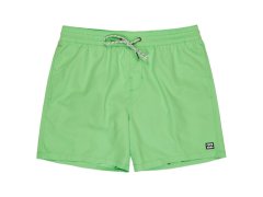 Šortky Billabong All Day Layback 16" EBYJV00134-GGJ0 zelené L