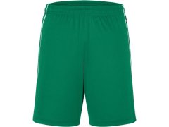 Daiber JN 387 Týmové kraťasy "Basic" 02.0387 green/white