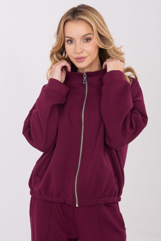 Mikina na zip model 222102 Factory Price