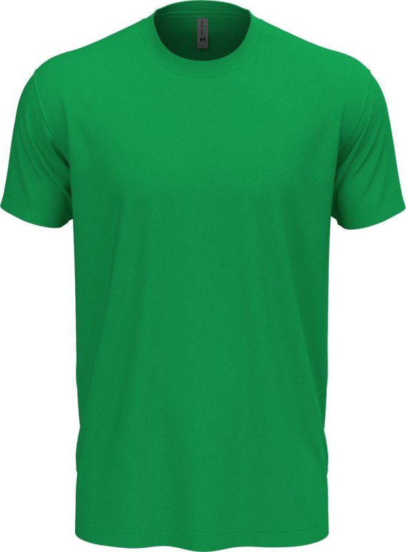 Next Level Apparel N 3600 Unisex tričko 08.3600 kelly green