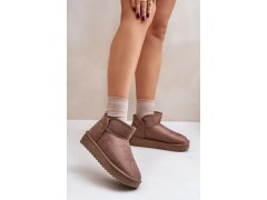 Dámské sněhule na platformě d.franklin dfsh370010 Taupe