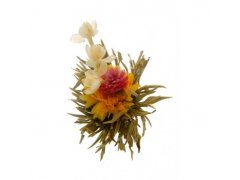 Man Tian Xian Tao Posvátné květy 1 ks (kvetoucí čaj)